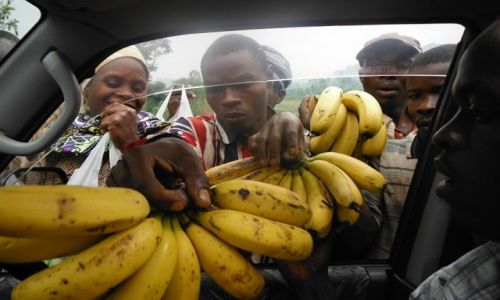 Zdjecie BURUNDI / Burundi / Burundi / Zakupy w drodze
