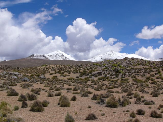 Zdjęcia: PN Lauca, Region XV, Altiplano, CHILE Zdjęcia: PN Lauca, Region XV, Altiplano, CHILE
