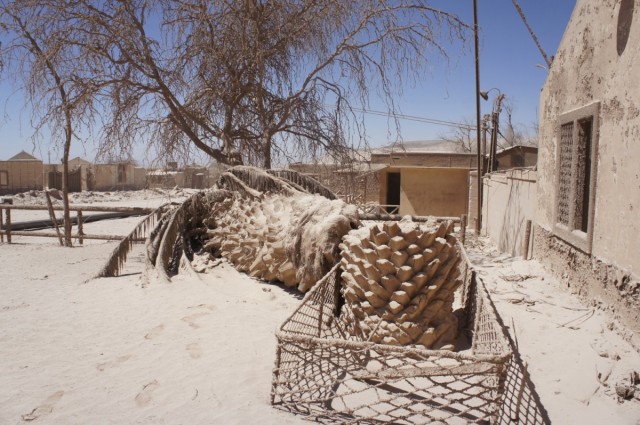 Zdj cia: Pedro de Valdivia, Antofagasta, Pedro de Valdivia, CHILE Zdj cia: Pedro de Valdivia, Antofagasta, Pedro de Valdivia, CHILE