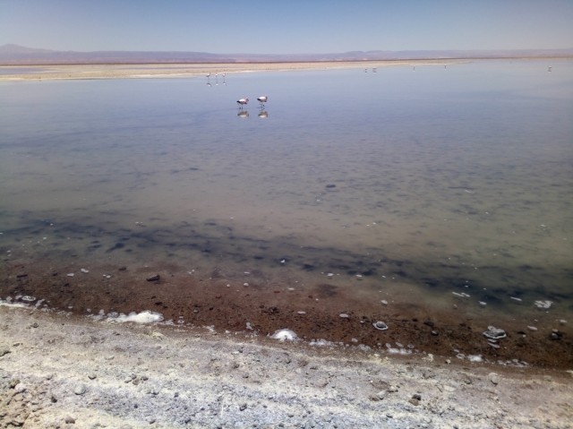 Zdj cia: Atakama, Atakama, CHILE I BOLIWIA - SAMOTNIE I INTENSYWNIE, CHILE Zdj cia: Atakama, Atakama, CHILE I BOLIWIA - SAMOTNIE I INTENSYWNIE, CHILE