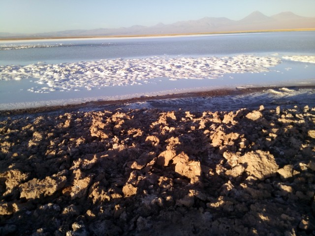 Zdj cia: Laguna Cejar, Atakama, CHILE I BOLIWIA - SAMOTNIE I INTENSYWNIE, CHILE Zdj cia: Laguna Cejar, Atakama, CHILE I BOLIWIA - SAMOTNIE I INTENSYWNIE, CHILE