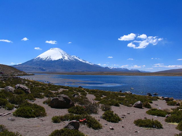 Zdjęcia: Parque Nacional Lauca, Parque Nacional Lauca, Parque Nacional Lauca, CHILE Zdjęcia: Parque Nacional Lauca, Parque Nacional Lauca, Parque Nacional Lauca, CHILE