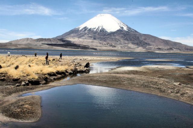 Zdjęcia: park Lauca, polnocne chile, pod wulkanem, CHILE Zdjęcia: park Lauca, polnocne chile, pod wulkanem, CHILE