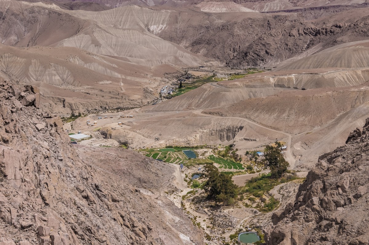 Zdjęcia: Dolina Azapa, Arica y Parinacota, Zieleni jak na lekarstwo, CHILE Zdjęcia: Dolina Azapa, Arica y Parinacota, Zieleni jak na lekarstwo, CHILE