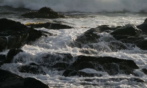 Zdjęcie CHILE / Santiago / Isla Negra / Niespokojny Spokojny