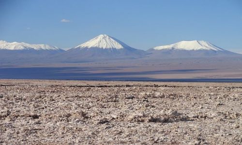 Zdjecie CHILE / Atacama / Salar de Atacama / Salar de Atacama