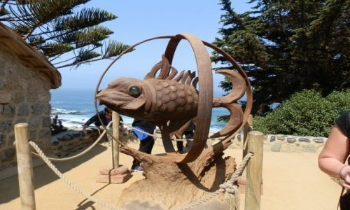 Zdjcie CHILE / Vigna del Mar / Nad Oceanem / Ciekawa rybka