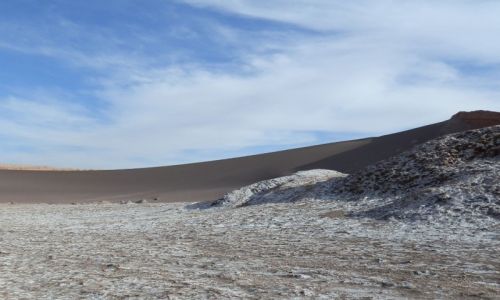 Zdjcie CHILE / Andy / Okolice San Piedro de Atacama / Krysztaki soli na skaach pustyni