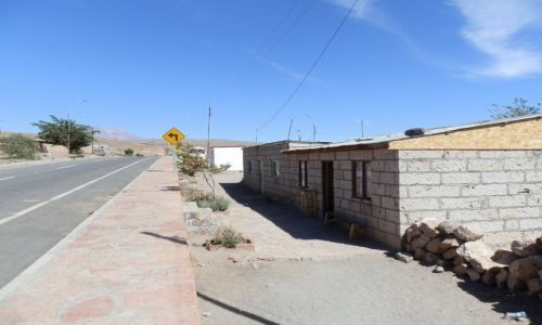 Zdjęcie CHILE / Andy / Pustynia Atacama / Typowa pustynna wiseczka