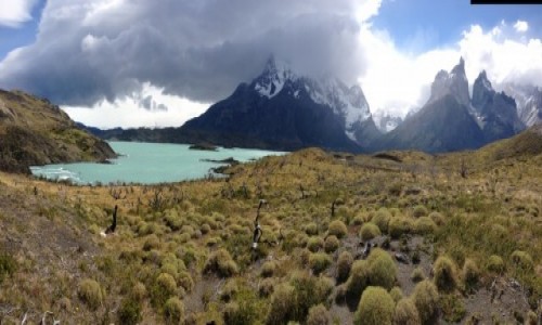 Zdjęcie CHILE / Patagonia / Park Narodowy Torres Del Paine / Masyw Los Cuernos