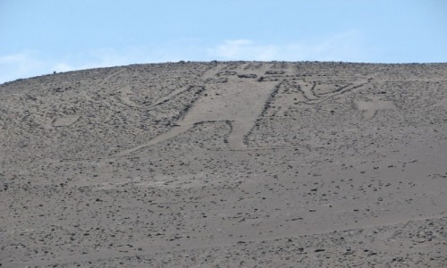 Zdjęcie CHILE / TARAPACA / okolica HUARA / Gigant z Atacama