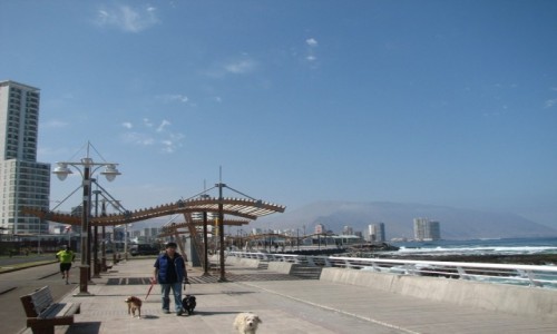 Zdjęcie CHILE / TARAPACA / IQUIQUE / promenada