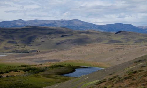 Zdjcie CHILE / Patagonia / Torres del Paine / Widok ze szlaku w kierunku campament Los Cuernos