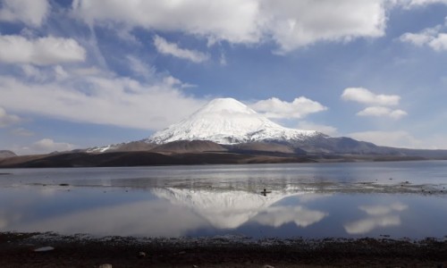 Zdjcie CHILE / NP Lauca / Lago Chungara / Parinacota 6348 m npm