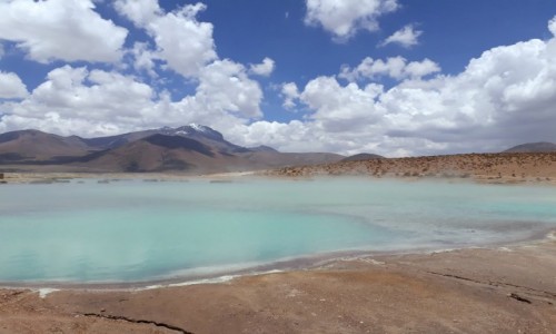 Zdjcie CHILE / RN Las Vicunas / Salar de Surire / Gorce rda 