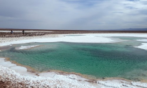 Zdjecie CHILE / San  Pedro de Atacama  / Pustynia Atacama  / Laguny na solnisku 