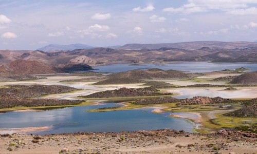 Zdjecie CHILE / Arica i Parinacota / NP Lauca / Laguna Cotacotani
