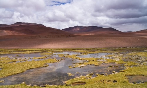 Zdjcie CHILE / Pustynia Atacama / Pustynia Atacama / Krajobrazy Atacamy