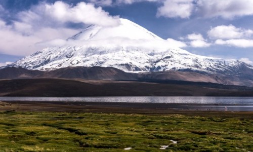 Zdjcie CHILE / Arica i Parinacota / NP Lauca / Jezioro Chungara i grujcy wulkan Parinacota