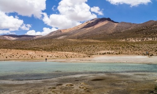 Zdjcie CHILE / Arica y Parinacota / Salar de Surire / Red Mountain