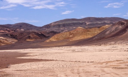 Zdjęcie CHILE / Atacama / nadbrzeżny park Pan de Azucar / Krajobrazy Chile