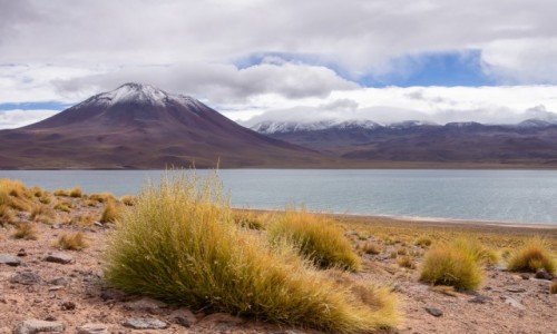 Zdjecie CHILE / Atacama / Atacama / Laguna Miscanti