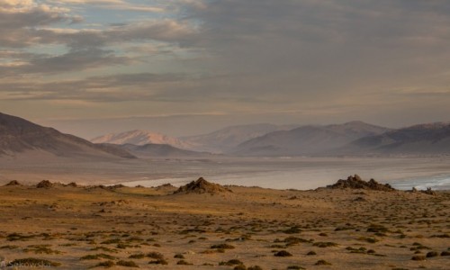 Zdjcie CHILE / rodkowe Chile/Atacama / Park Narodowy Pan de Azucar / Piekny koniec dnia