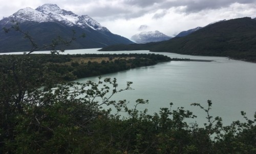 Zdjecie CHILE / - / Torres del Paine / Patagonia 