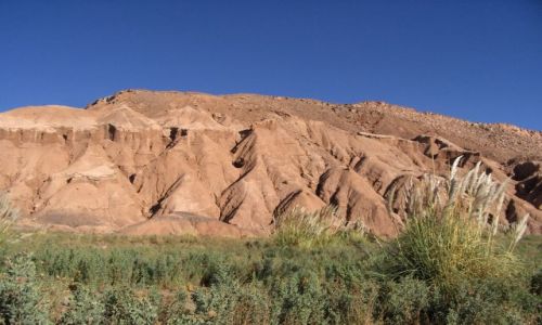 Zdjęcie CHILE / brak / San Pedro de Atacama / Quebrada