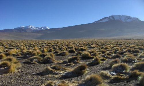 Zdjęcie CHILE / brak / San Pedro de Atacama / El Tatio