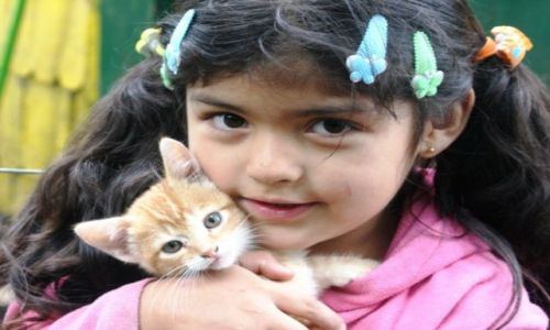 Zdjęcie CHILE / Patagonia / Coyhaique / Przyjaźń