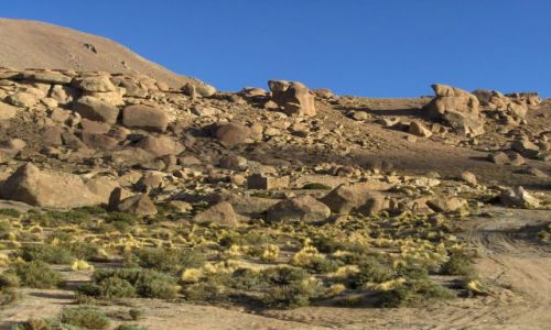Zdjęcie CHILE / brak / San Pedro de Atacama / Gra cieni