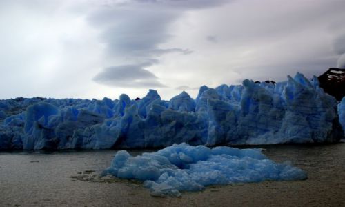 Zdjecie CHILE / Magallanes / Park Narodowy Torres del Paine / Lodowiec Grey