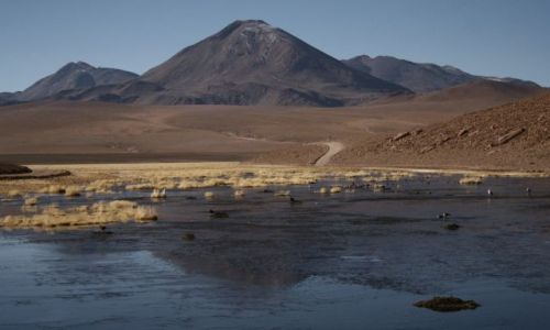 Zdjęcie CHILE / - / El Tatio Geysers / wulkan
