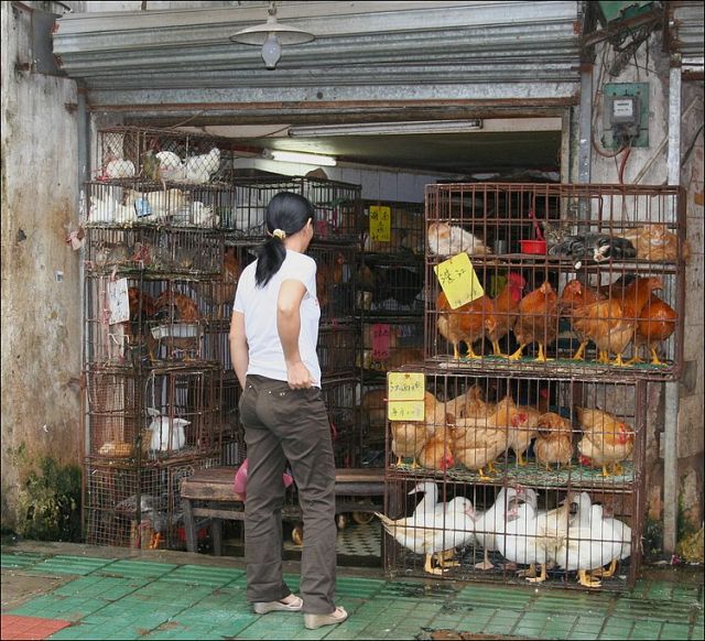 Zdjęcia: Guanghou, Guanghong, shop, CHINY Zdjęcia: Guanghou, Guanghong, shop, CHINY