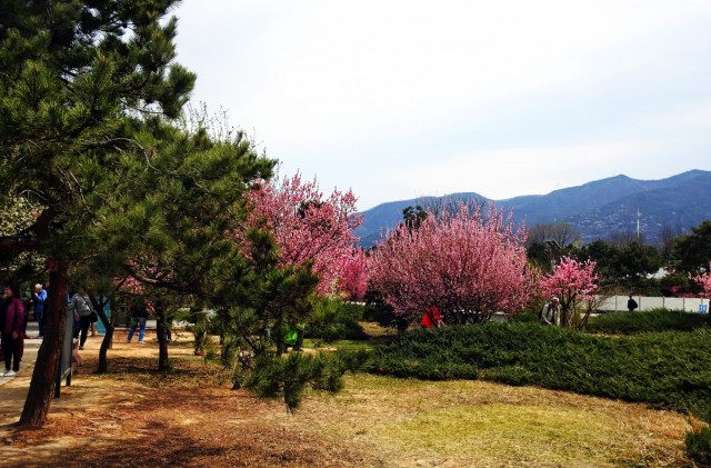 Zdj cia: Muzeum Armii Terakotowej, Xi'an, Wiosna, CHINY Zdj cia: Muzeum Armii Terakotowej, Xi'an, Wiosna, CHINY