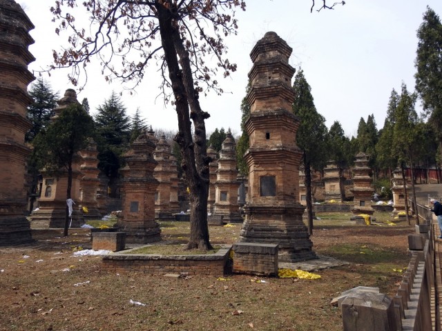 Zdj cia: Dengfeng, Luoyang, Las pagód, CHINY Zdj cia: Dengfeng, Luoyang, Las pagód, CHINY