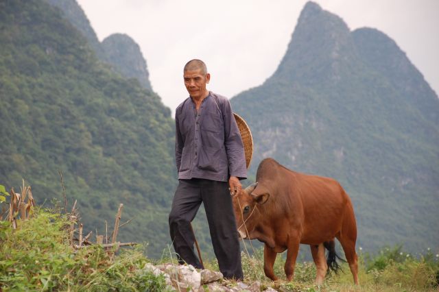 Zdjęcia: okolice Yangshuo, Guangxi Zhuang, skarb najdroższy, CHINY Zdjęcia: okolice Yangshuo, Guangxi Zhuang, skarb najdroższy, CHINY