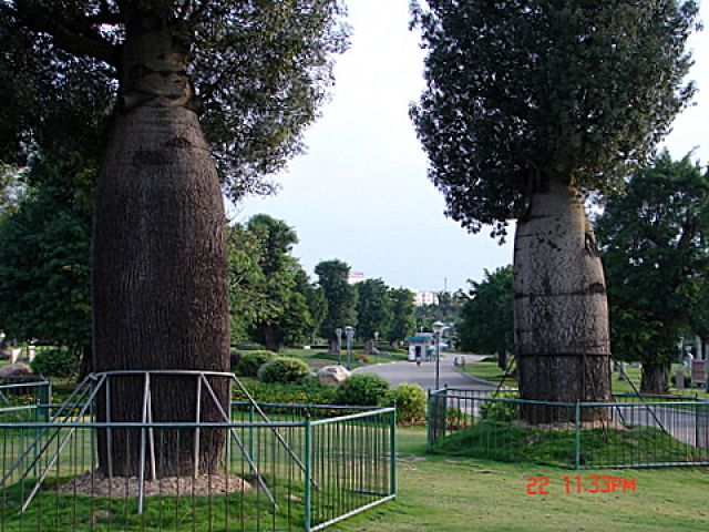 Zdjęcia: Nanning, GUANZOU, Unikaty, CHINY Zdjęcia: Nanning, GUANZOU, Unikaty, CHINY
