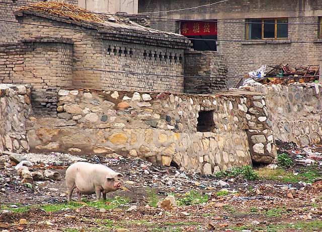 Zdjęcia: PROWINCJA SHANXI, CHINY PÓŁNOCNE, BYŁY SOBIE ŚWINKI TRZY, DWIE ZWIAŁY, CHINY Zdjęcia: PROWINCJA SHANXI, CHINY PÓŁNOCNE, BYŁY SOBIE ŚWINKI TRZY, DWIE ZWIAŁY, CHINY