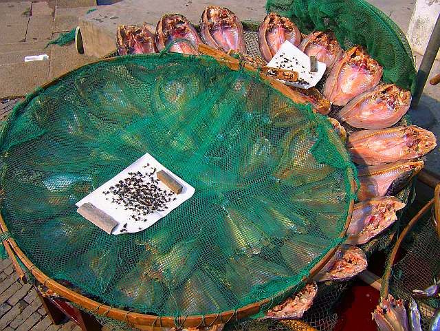 Zdjęcia: ZHOUZHUANG, PROWINCJA JIANGSU, NATURALNIE SUSZONE, CHINY Zdjęcia: ZHOUZHUANG, PROWINCJA JIANGSU, NATURALNIE SUSZONE, CHINY