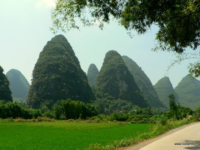 Zdjęcia: Yangshuo, Chiny pola ryżowe w okolicyYangshuo , CHINY Zdjęcia: Yangshuo, Chiny pola ryżowe w okolicyYangshuo , CHINY
