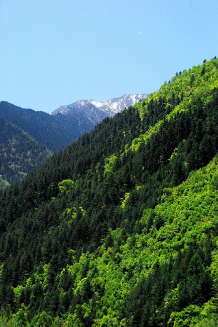 Zdjęcia: Jiuzhaigou, Sichuan, #2, CHINY Zdjęcia: Jiuzhaigou, Sichuan, #2, CHINY