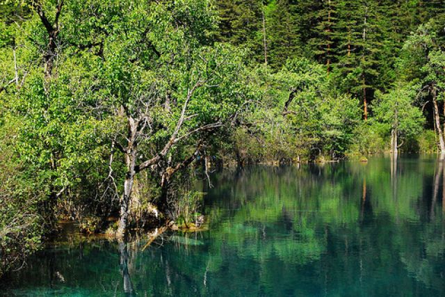 Zdjęcia: Jiuzhaigou, Sichuan, #16, CHINY Zdjęcia: Jiuzhaigou, Sichuan, #16, CHINY