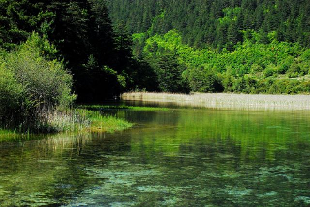 Zdjęcia: Jiuzhaigou, Sichuan, #21, CHINY Zdjęcia: Jiuzhaigou, Sichuan, #21, CHINY