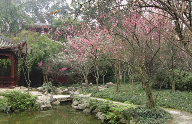 Zdjęcia: Leshan park, Syczuan, KONKURS "Szukamy śladów wiosny", CHINY Zdjęcia: Leshan park, Syczuan, KONKURS "Szukamy śladów wiosny", CHINY