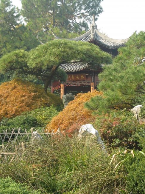Zdjęcia: miejski park, Hangzhou, zakatek w parku, CHINY Zdjęcia: miejski park, Hangzhou, zakatek w parku, CHINY