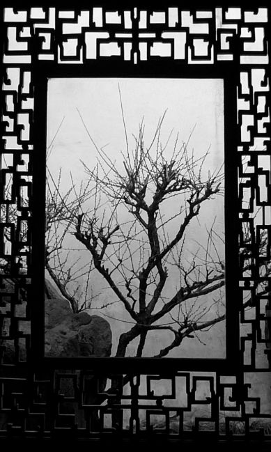Zdjęcia: ogrod, Suzhou, grafika?, CHINY Zdjęcia: ogrod, Suzhou, grafika?, CHINY