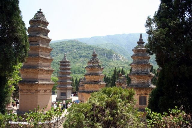 Zdjęcia: KLASZTOR SZAOLIN, LAS STUP, CHINY Zdjęcia: KLASZTOR SZAOLIN, LAS STUP, CHINY