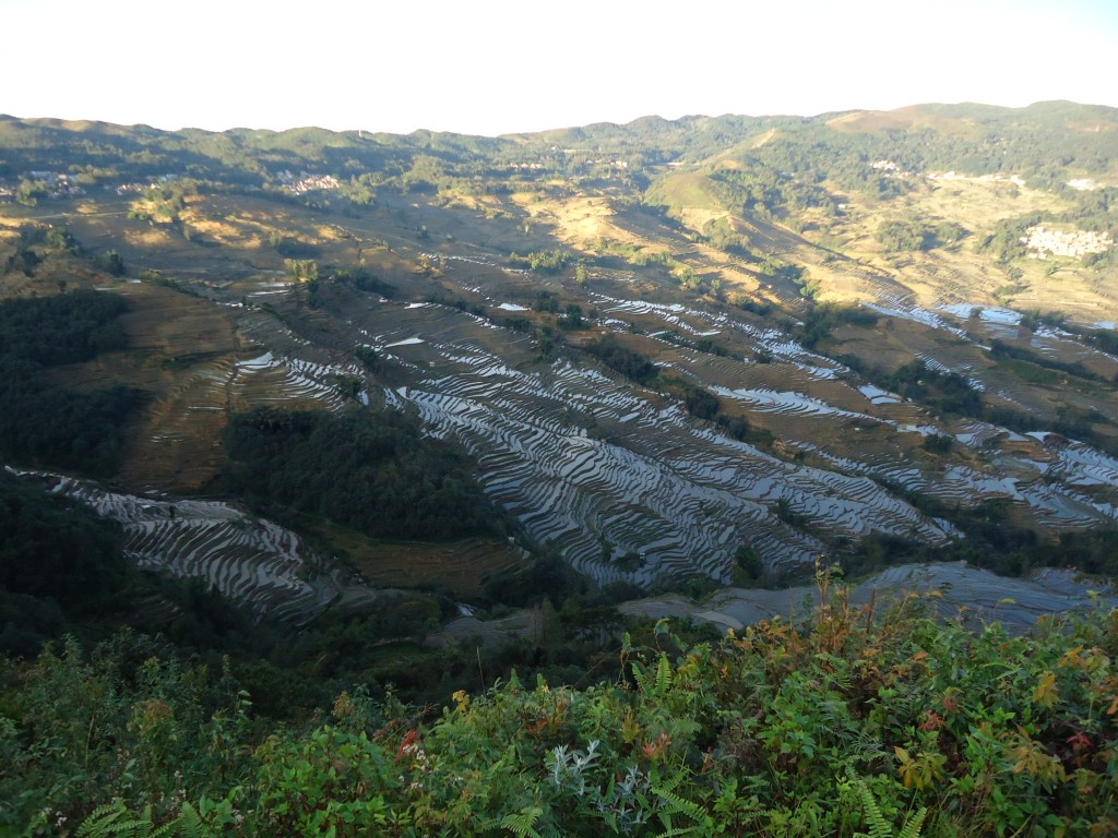 Zdjęcia: okolice Xinjie, Yunnan, Tarasy ryżowe Bada (3), CHINY Zdjęcia: okolice Xinjie, Yunnan, Tarasy ryżowe Bada (3), CHINY